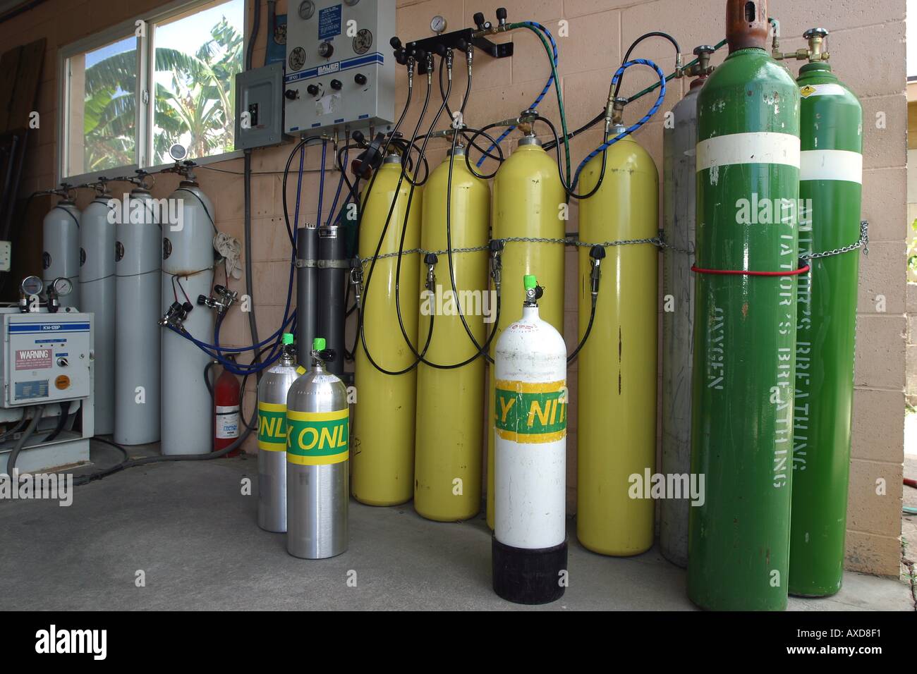 Storgae Sauerstoffflaschen sind hier sichtbar an den Nitrox mischen Station auf Hawaii Stockfoto