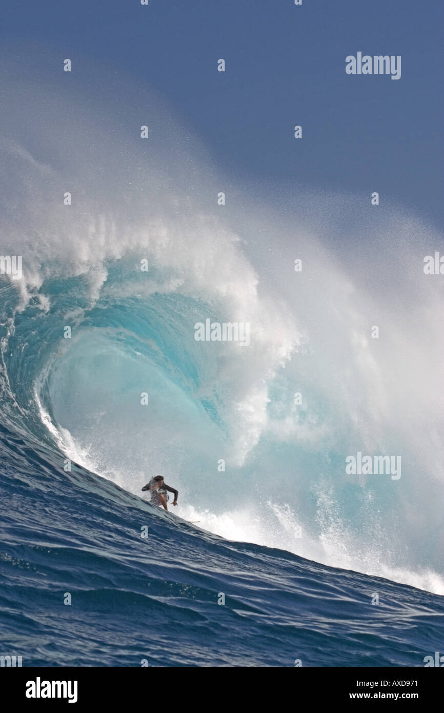 Eine Surfer fällt auf die Rotation des Hawaii s big Surf am Peahi Kiefer aus Maui Hawaii Stockfoto