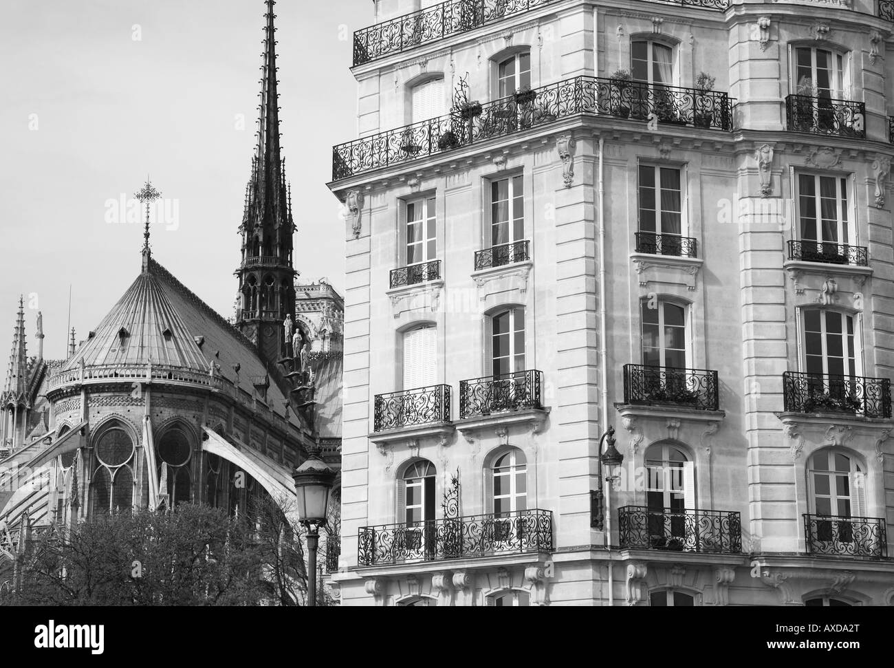 Kathedrale Notre-Dame und Fassaden der Ile De La Cité, Paris, Frankreich Stockfoto