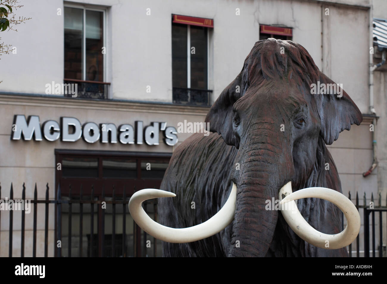 Mammut-Statue im Natural History Museum Paris France Stockfoto