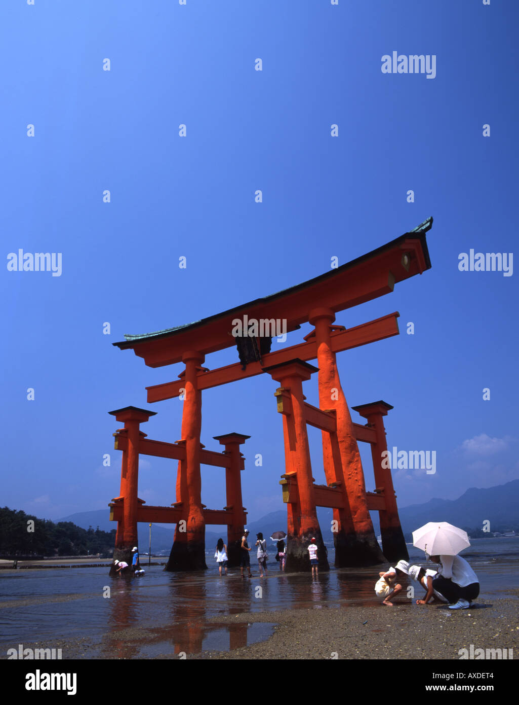 Das floating Gate der Torii am Itsukushima-Schrein, Insel Miyajima, Präfektur Hiroshima, Japan. Ein UNESCO-Weltkulturerbe Stockfoto