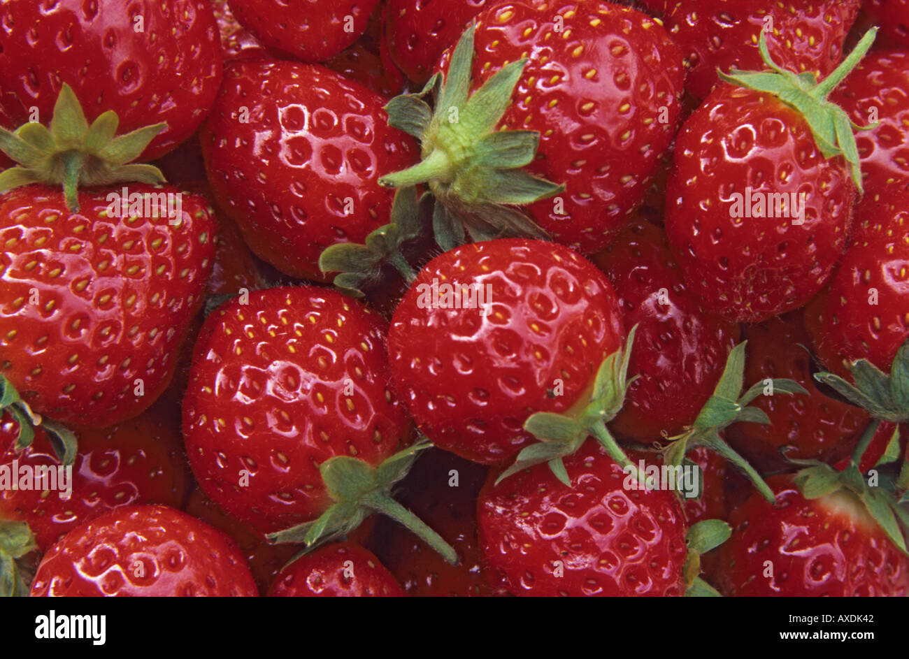 Erdbeeren hautnah Stockfoto