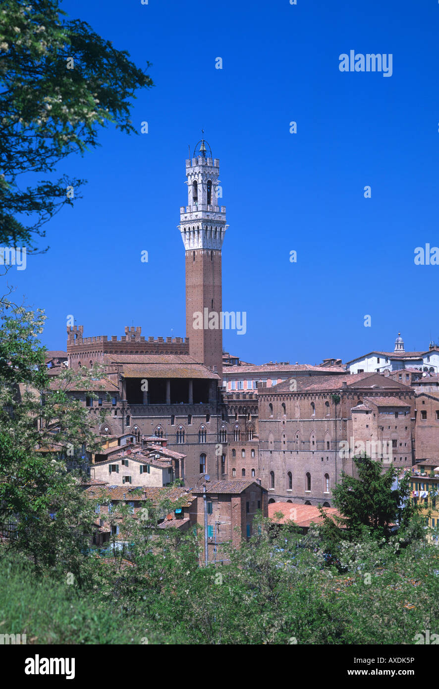 Torre del Mangia-Turm, Palazzo Pubblico, Siena, Toskana, Italien Stockfoto