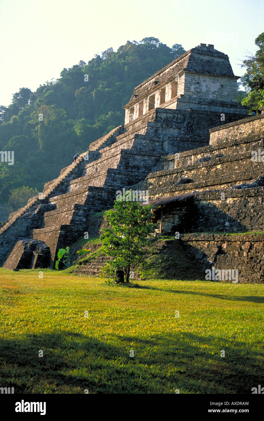 Elk156 2348 Mexiko Yucatan Palenque Chiapas Maya site 600-900 Tempel der Inschriften Stockfoto
