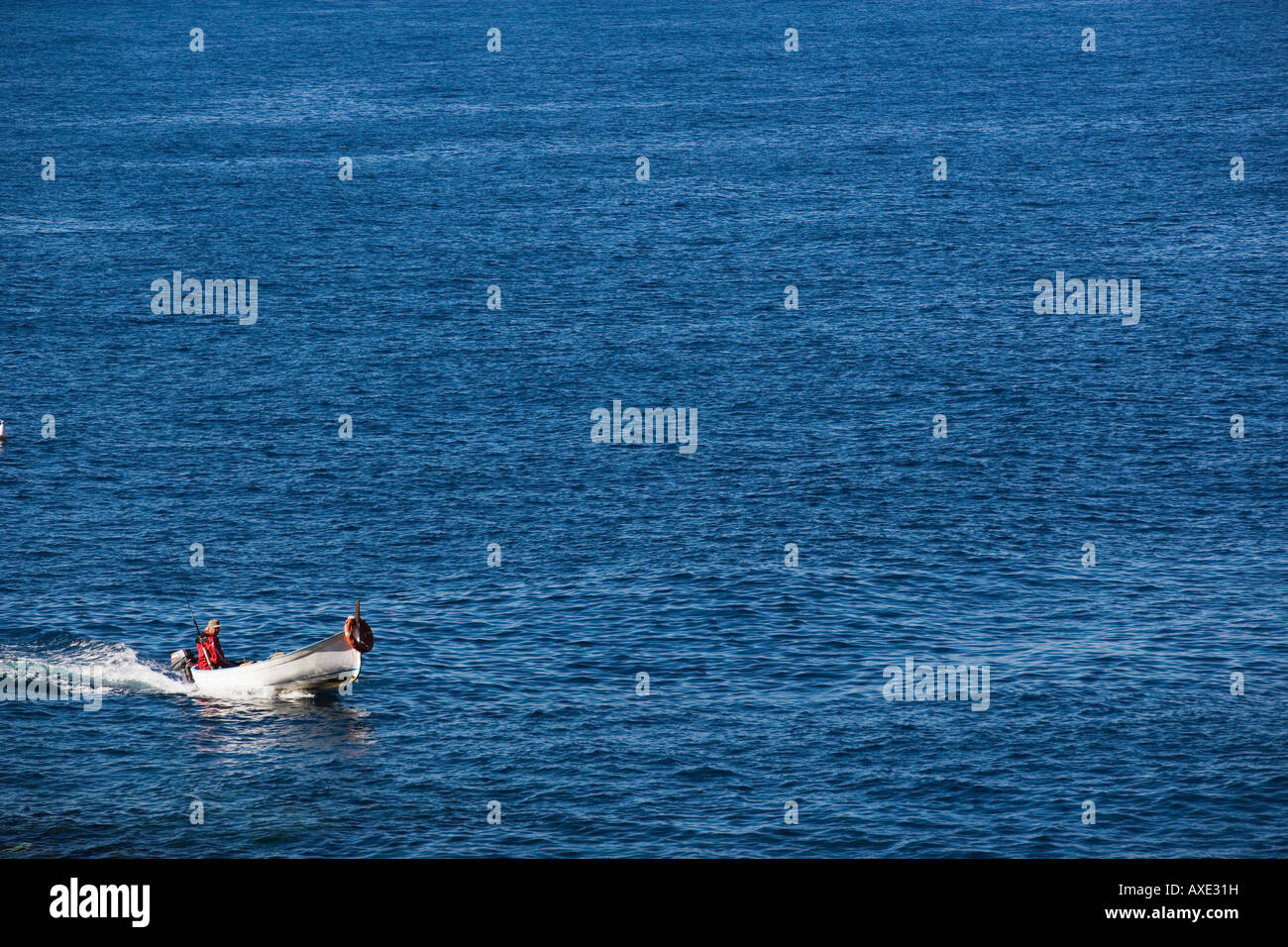 Italien, Ligurien, Riomaggiore, Motorboot am Ligurischen Meer Stockfoto