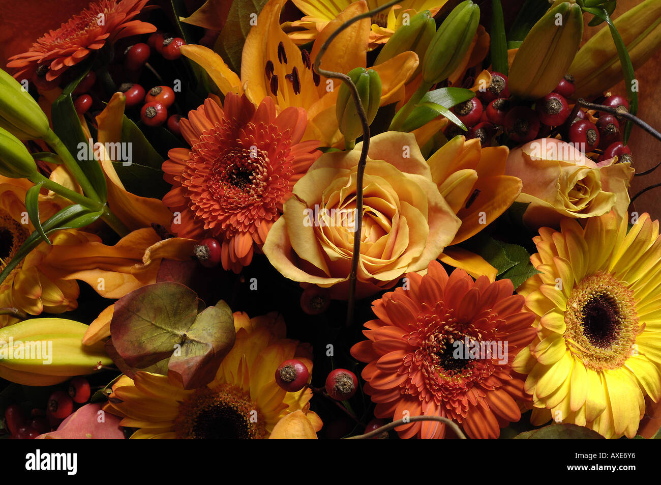 Nahaufnahme von Blumenstrauß Stockfoto