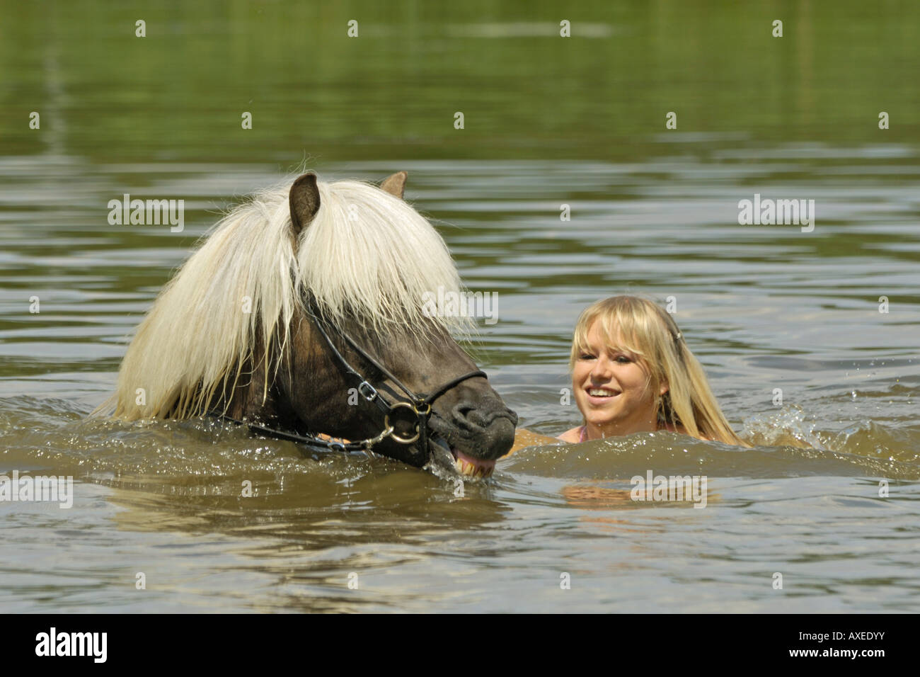 Mädchen mit Islandpferd im Wasser Stockfoto