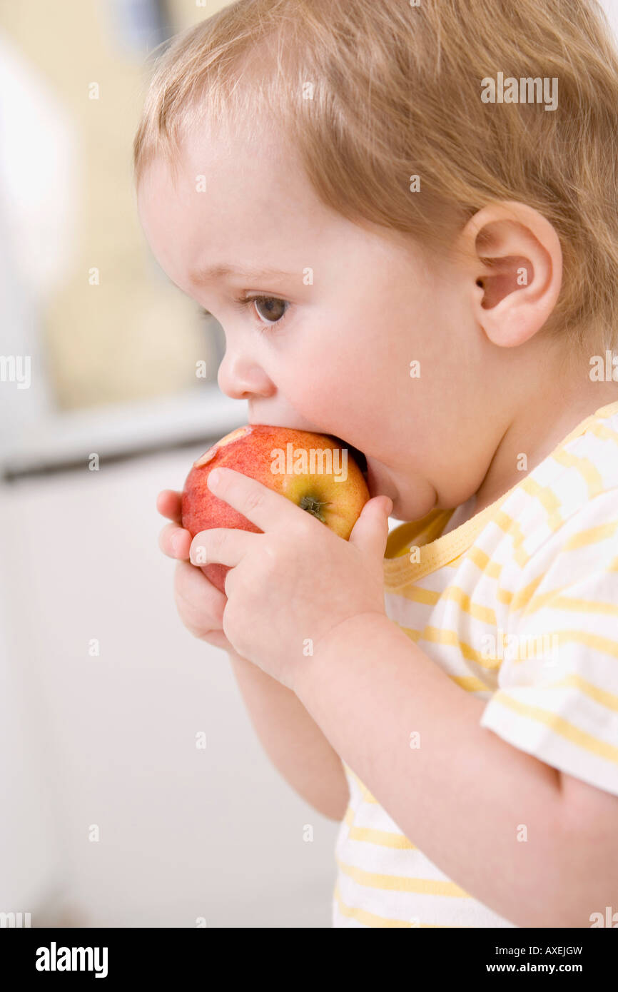 Babymädchen (2-3) einen Apfel essen Stockfoto