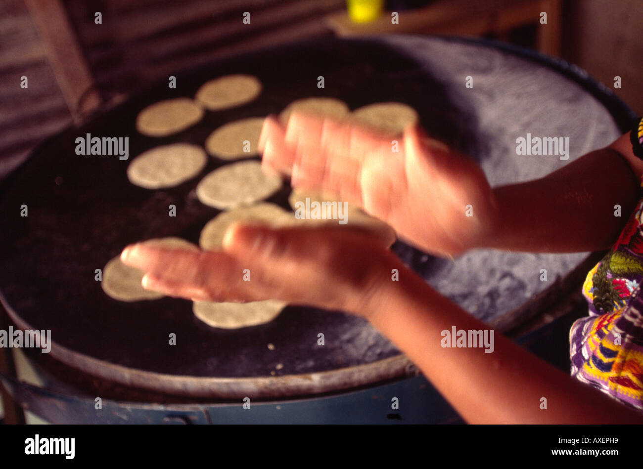 Eine Frau macht Tortillas auf einem Backblech Guatemala City-Guatemala Stockfoto