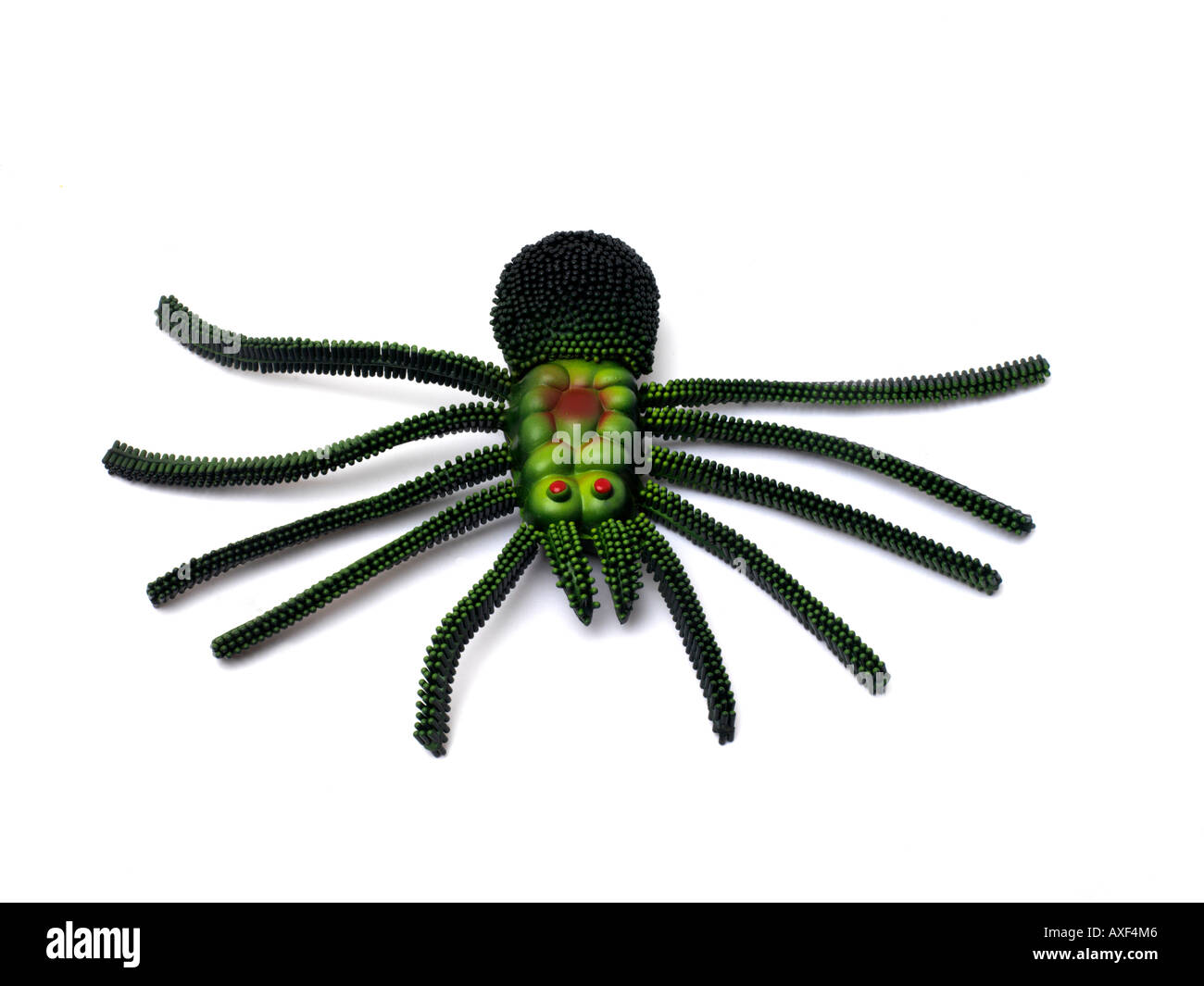 Kunststoff Spider Stockfoto