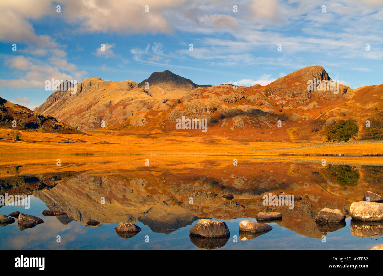 Langdale Pikes The Lake District im Herbst spiegelt sich in Blea Tarn Stockfoto