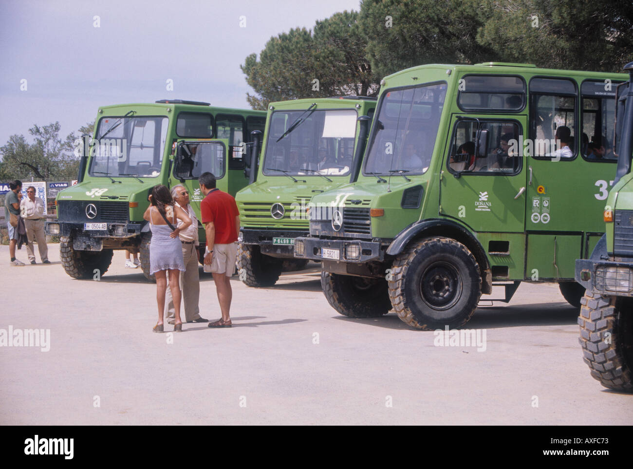 Fahrzeug-Touren El Acebuche Nationalpark von Doñana Costa De La Luz Spain Stockfoto