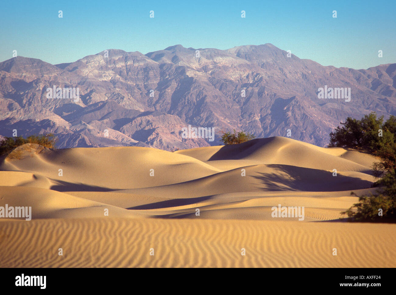 Death Valley Kalifornien USA Stockfoto