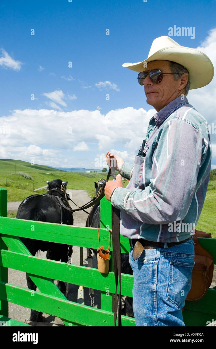 Ein Rancher führt seine Pferde an der Bar U Ranch National Historic Site in Southern Alberta Kanada Stockfoto