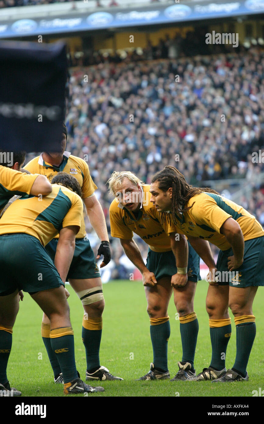 Australische Rugby-Team im Herbst 2005 International zwischen England und Australien in Twickenham, London, UK. Stockfoto