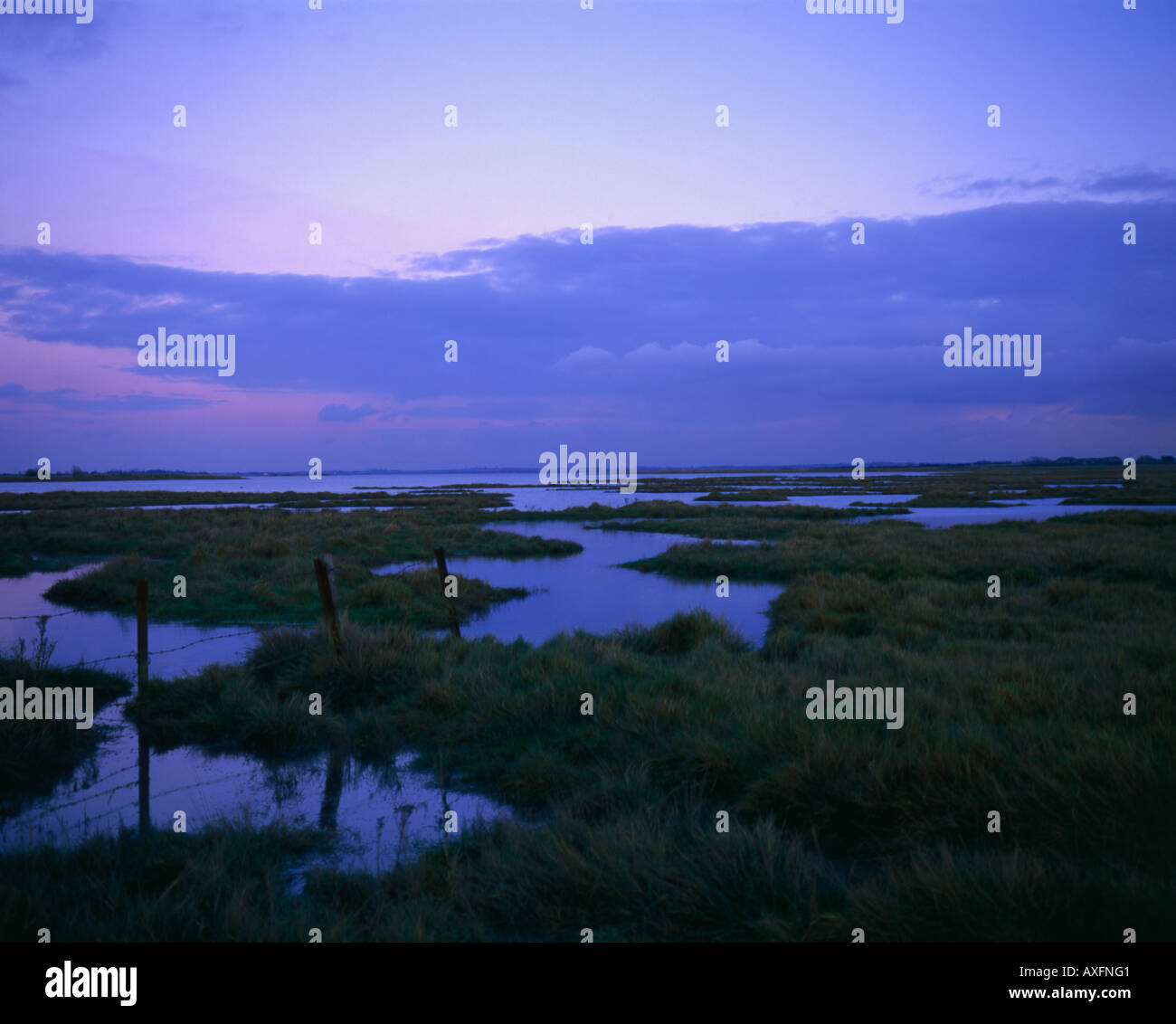 Marsh Land am Fluss Blackwater, Maldon Essex. Stockfoto