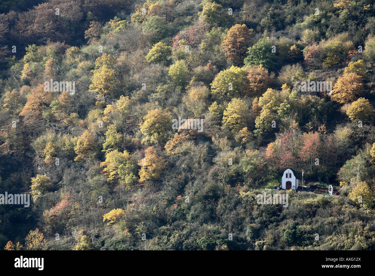 Karden, Berghang Im Herbst, Stockfoto