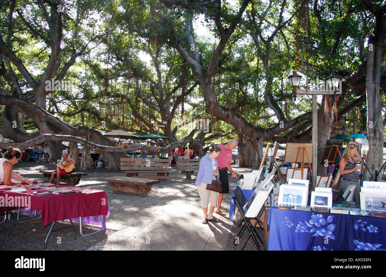 LOKALEN KUNSTMARKT UNTER DER GRÖßTEN BANYAN-BÄUME IN DER WELT, DIE IN LAHAINA, MAUI, HAWAII. ES IST DIE GRÖßE EINES HÄUSERBLOCKS Stockfoto