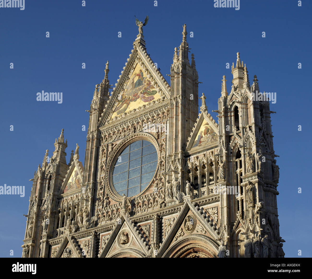 Dom, Siena, Italien Stockfoto