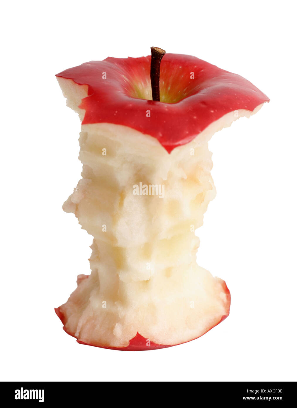 Apfel-Kern Stockfoto