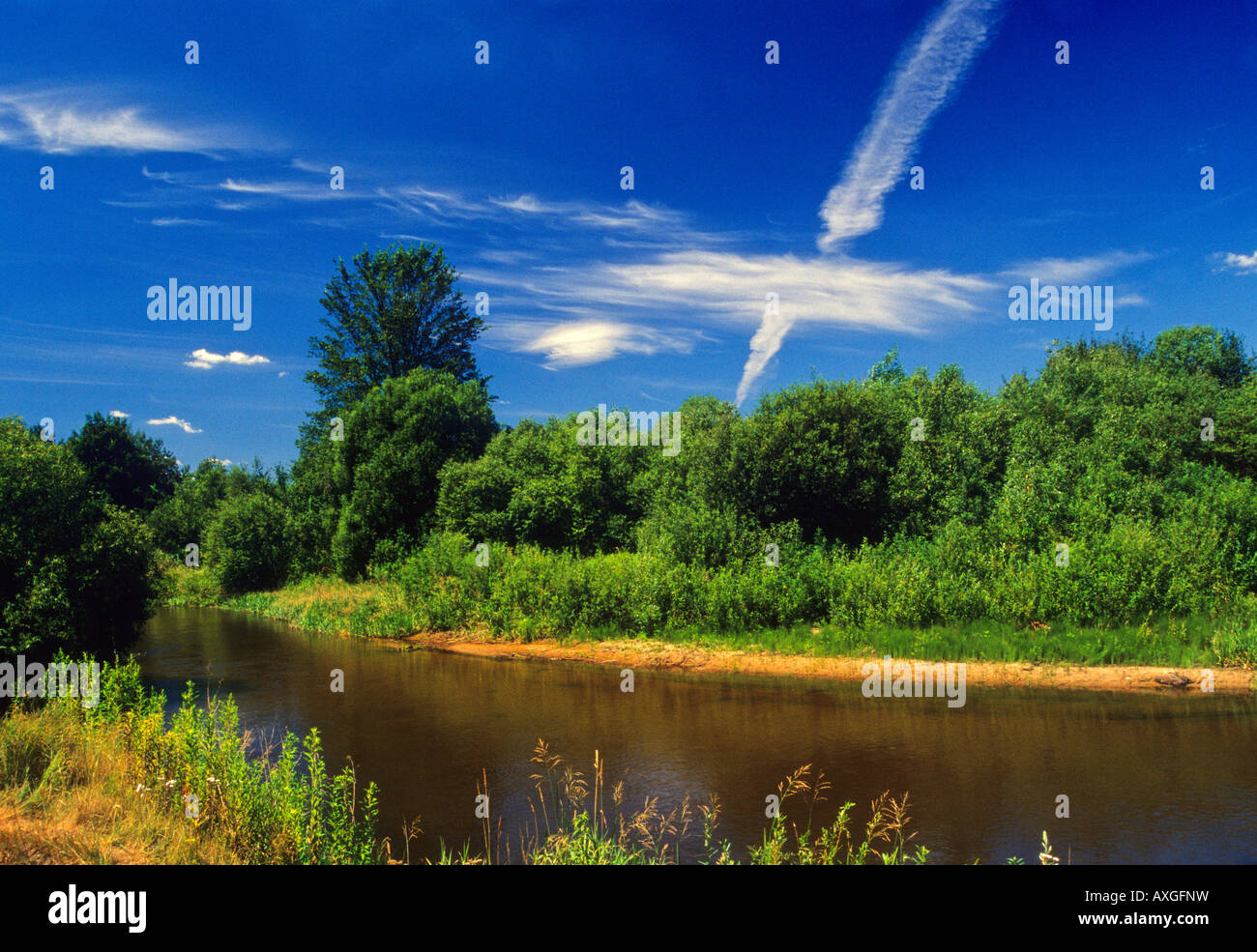Tanew Fluss im Osten Polen, roztocze/rownina bilgorajska Stockfoto