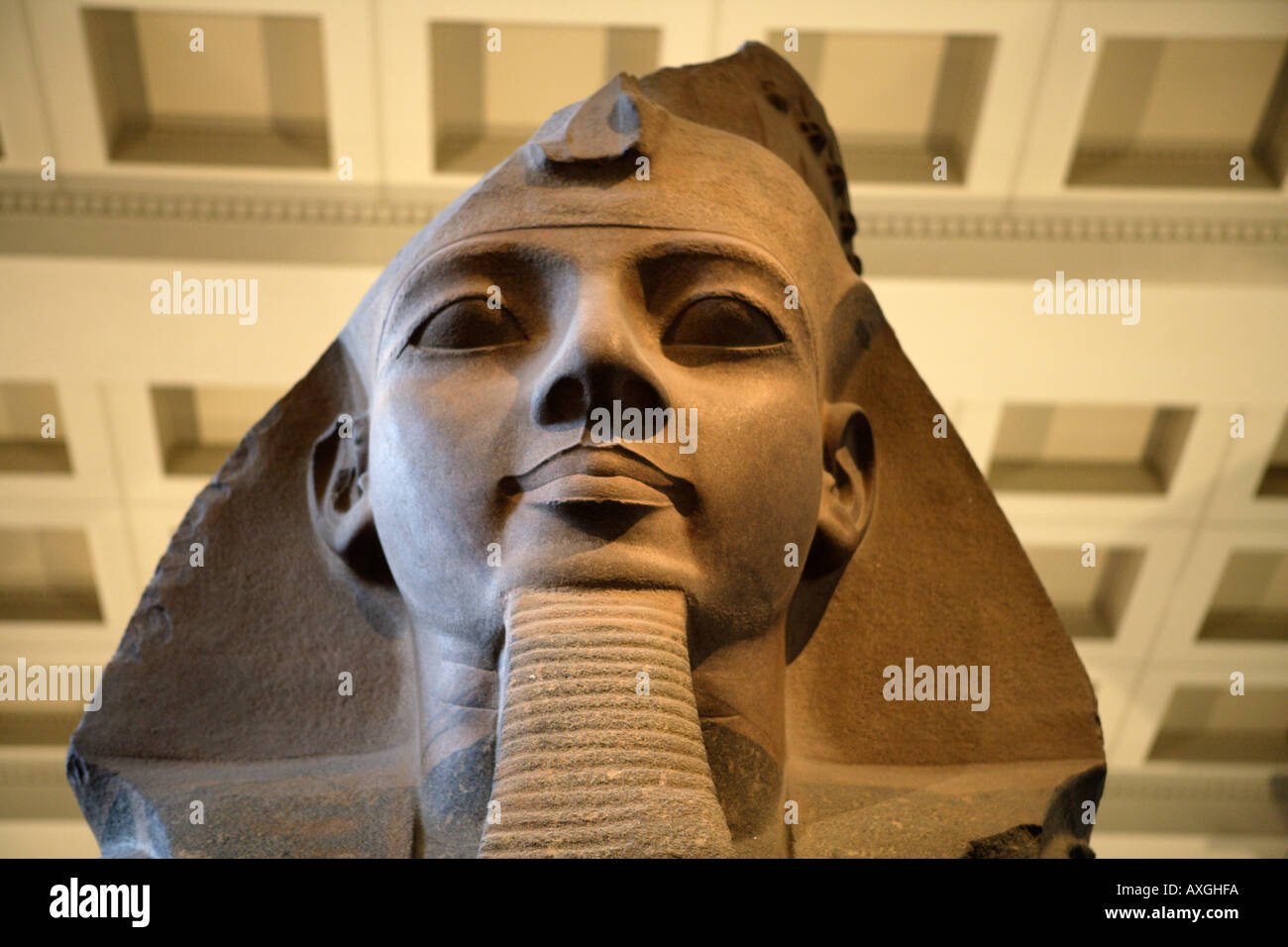 Büste der ägyptischen Pharao Ramses II, British Museum, London UK Stockfoto