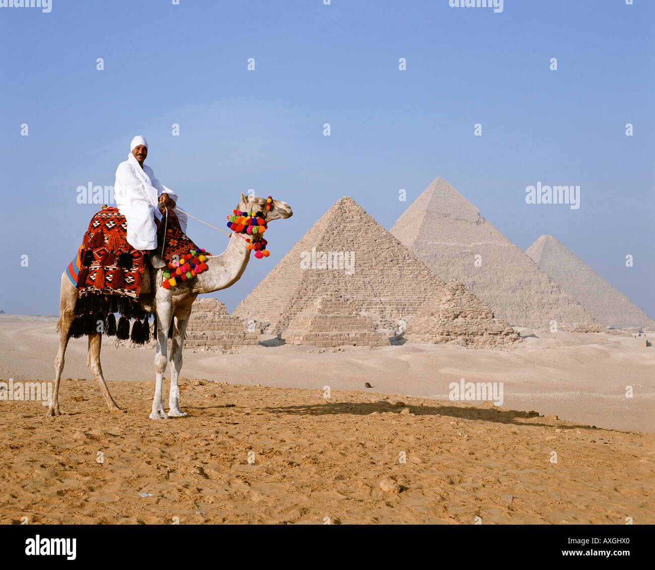 Kamel und Führer vor den Pyramiden Gizeh Kairo Ägypten Nordafrika ...