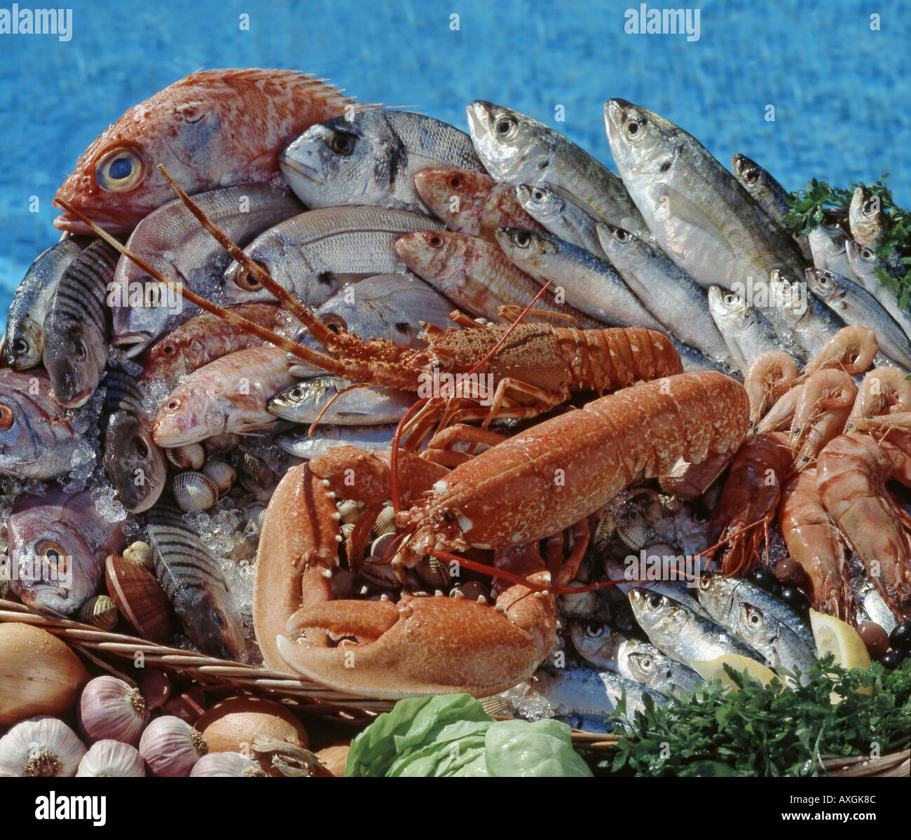 Vielfalt an frischem Fisch und Hummer am Swimmingpool Stockfoto