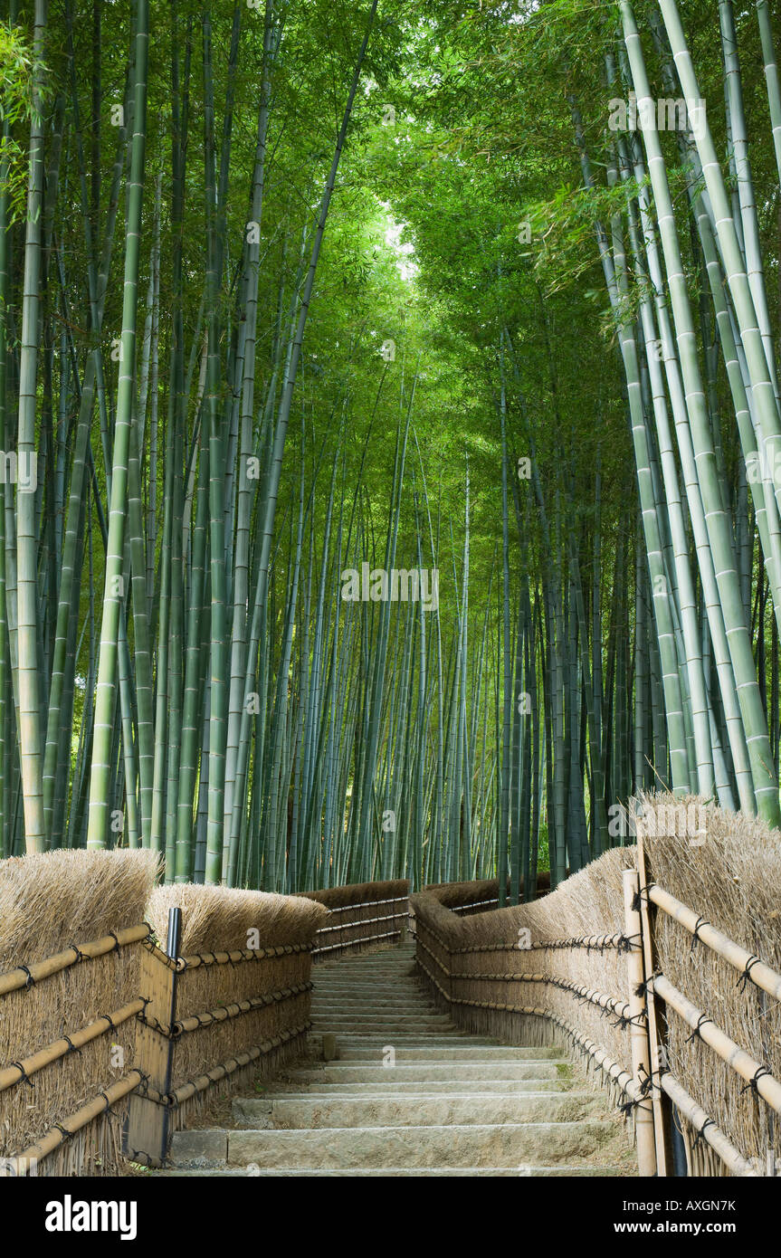 Bambus Weg, Adashino Nembutsuji Tempel, Kyoto, Japan Stockfotografie - Alamy