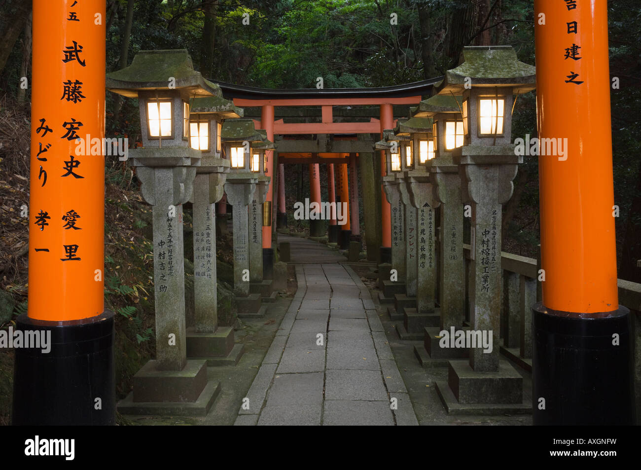 Stein, Laternen, Fushimi Inari-Taisha Schrein, Kyoto, Kansai, Honshu, Japan Stockfoto