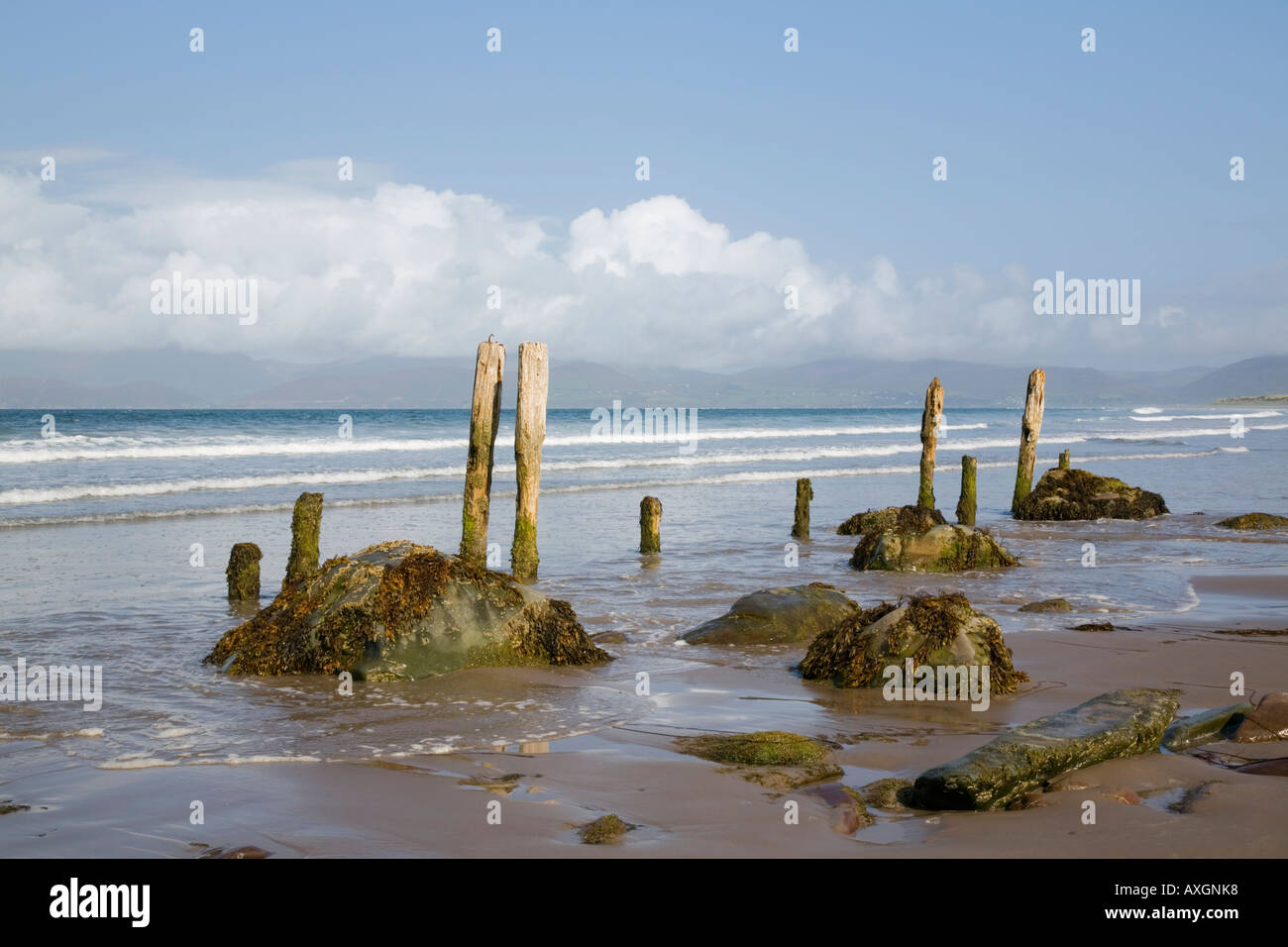 Hölzernen Pfosten und Steinen auf nassen Sand am leeren Strand von Ross Strand auf dem Ring of Kerry. Rossbeigh County Kerry Eire-Irland Stockfoto
