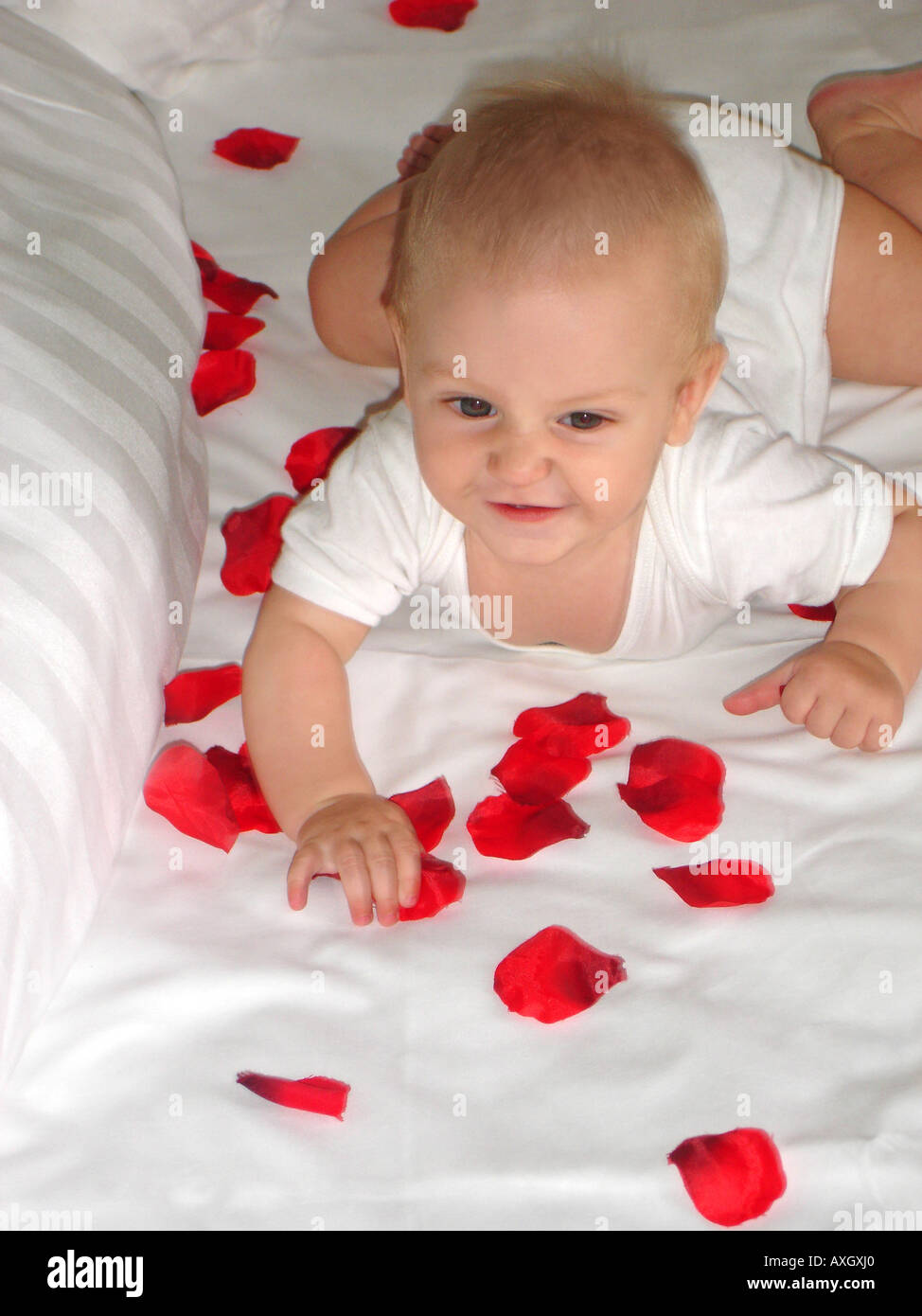 zuversichtlich 6 Monate altes Baby auf dem Bett mit roten Blüten Zufriedenes 6 Monate Altes Baby Auf Bett Mit Roten Blütenblättern Stockfoto