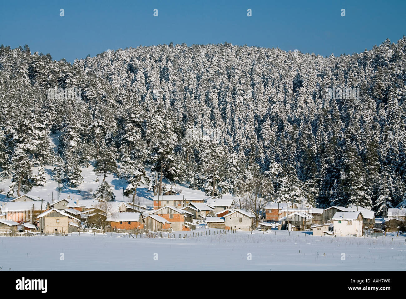 Winter-Szene der Duvenlik Highland Aladag Berg, Bolu, Türkei. Stockfoto