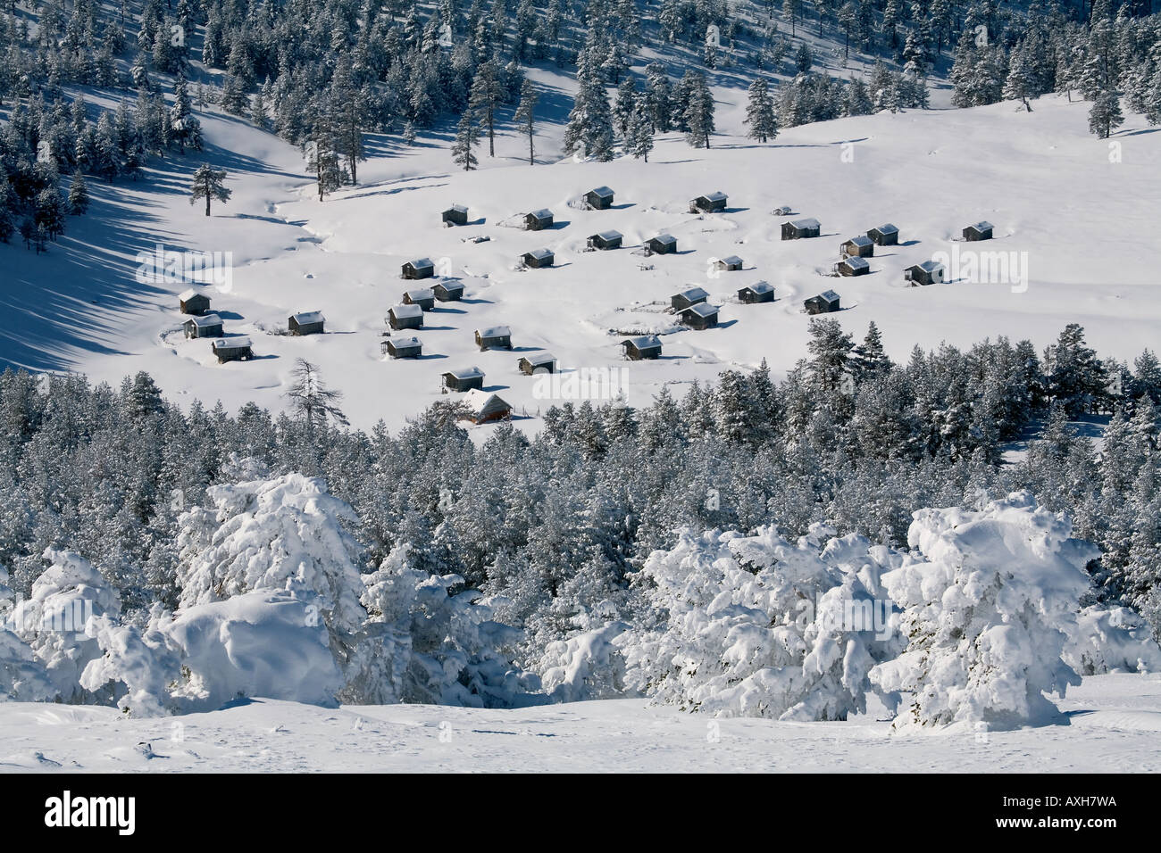 Panoramablick von Holzhäusern in Kanduzlu Hochland Aladag Bolu Türkei. Stockfoto