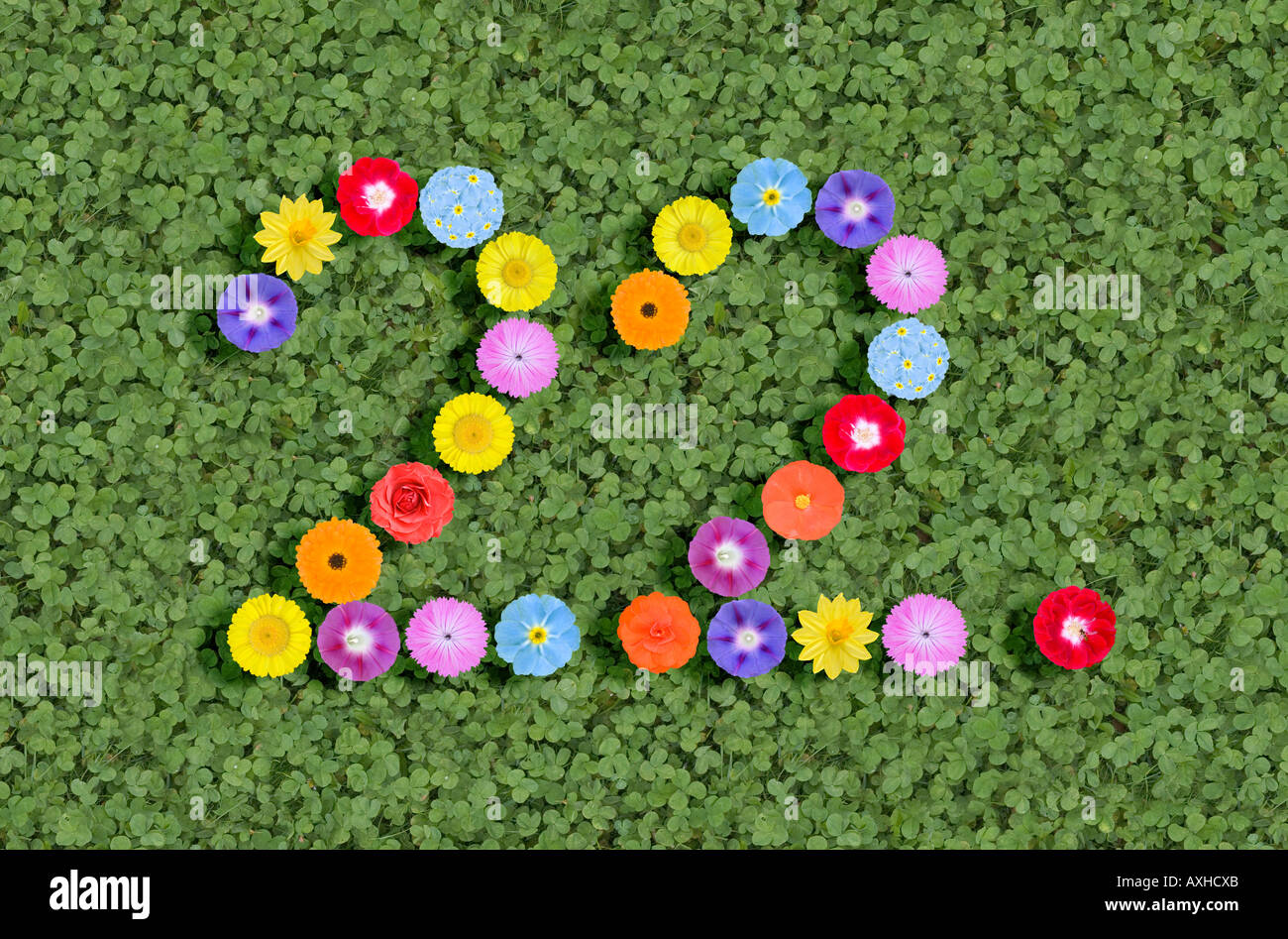 Nummern mit Blumen 22. Stockfoto