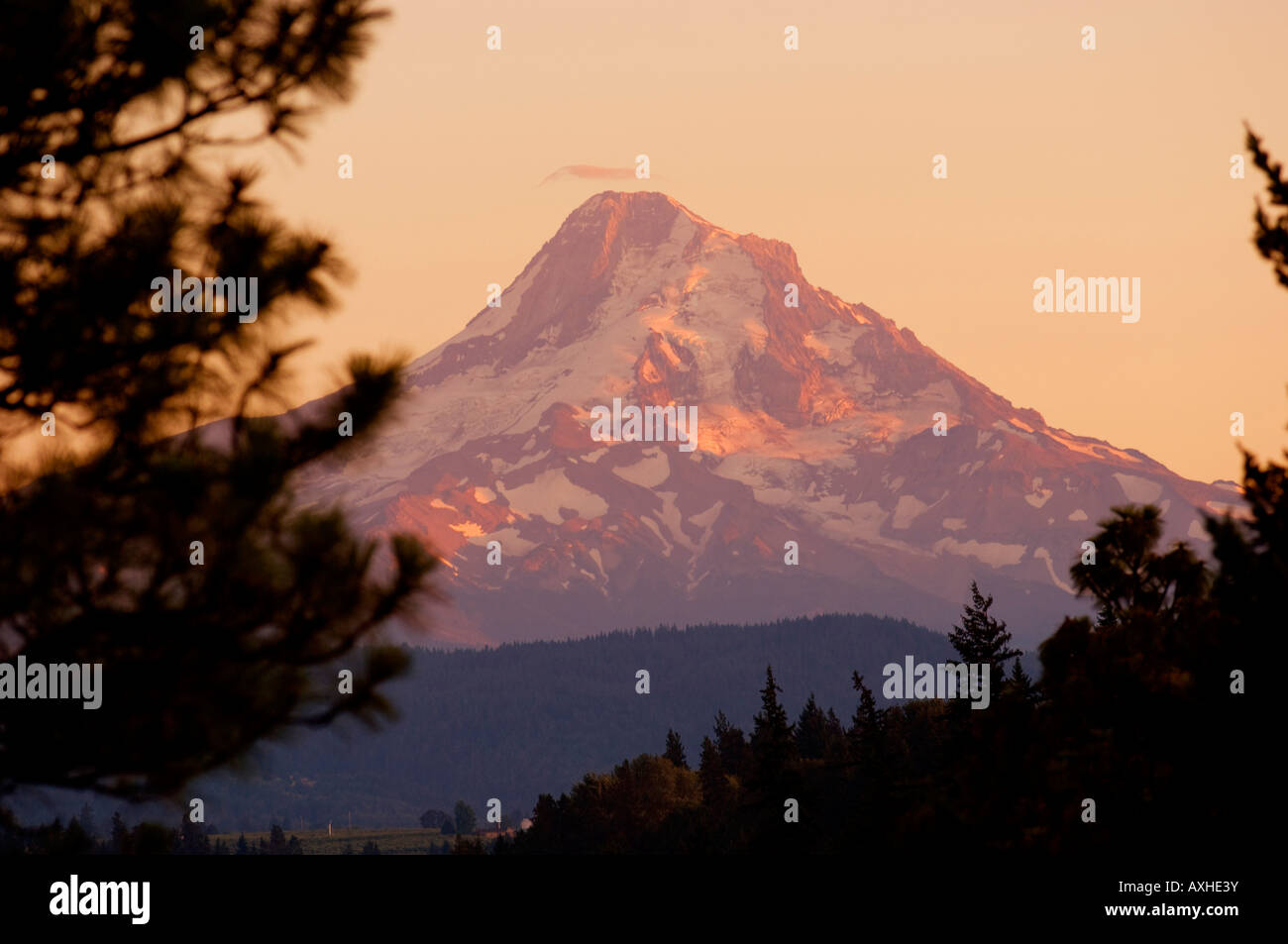 Sommer Sonnenuntergang modelliert die Konturen der 11 239 Fuß Mount Hood Stockfoto