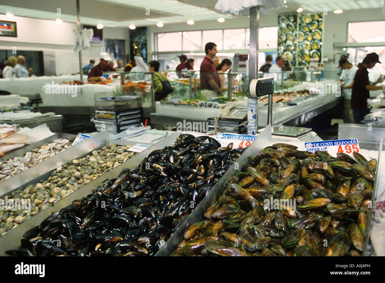 Australien Sydney Muscheln und Schalentiere angezeigt für den Verkauf auf Eis Sydney Fish Market Preis Zeichen Vertriebsmitarbeiter Stockfoto