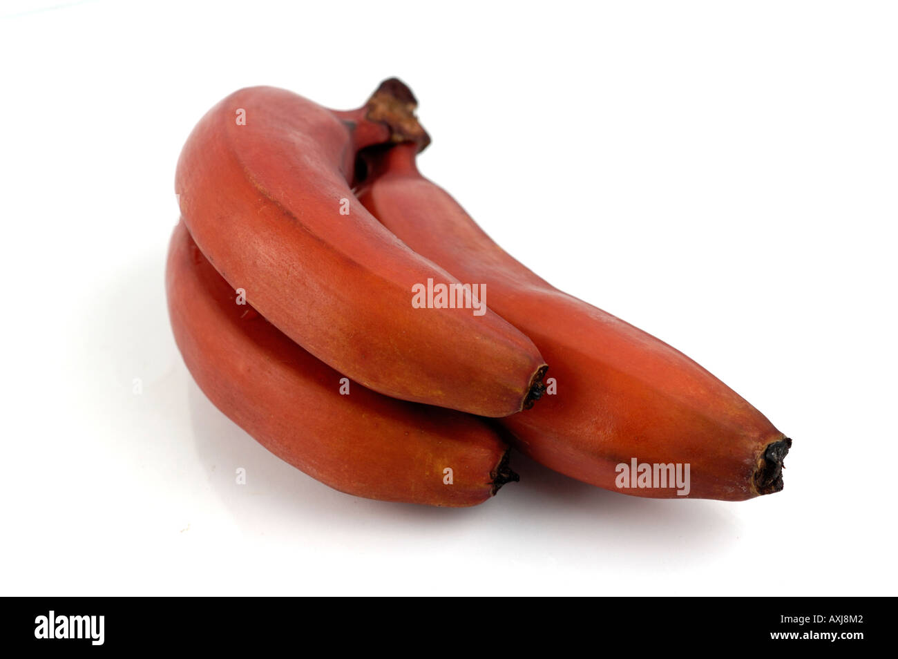 Rote Bananen Stockfoto