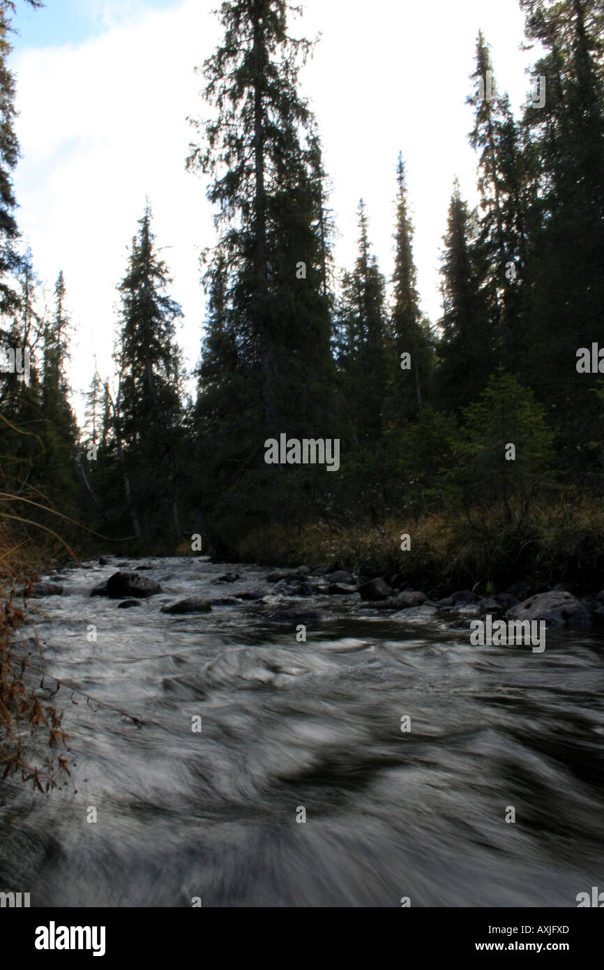 schnell fließenden Fluss im Reivo Nature Reserve, Schweden Stockfoto