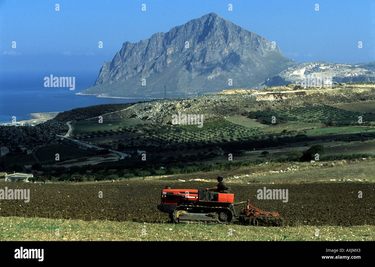 Land, angebaut auf eine familiengeführte Biobauernhof, Valdarice, Sizilien, Italien. Stockfoto