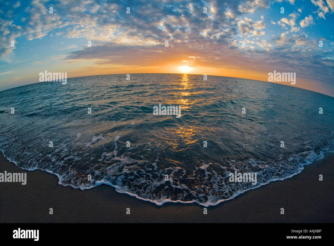 Sonnenuntergang über dem Golf von Mexiko von Venice Beach in Florida mit einem fisheye-Objektiv aufgenommen Stockfoto