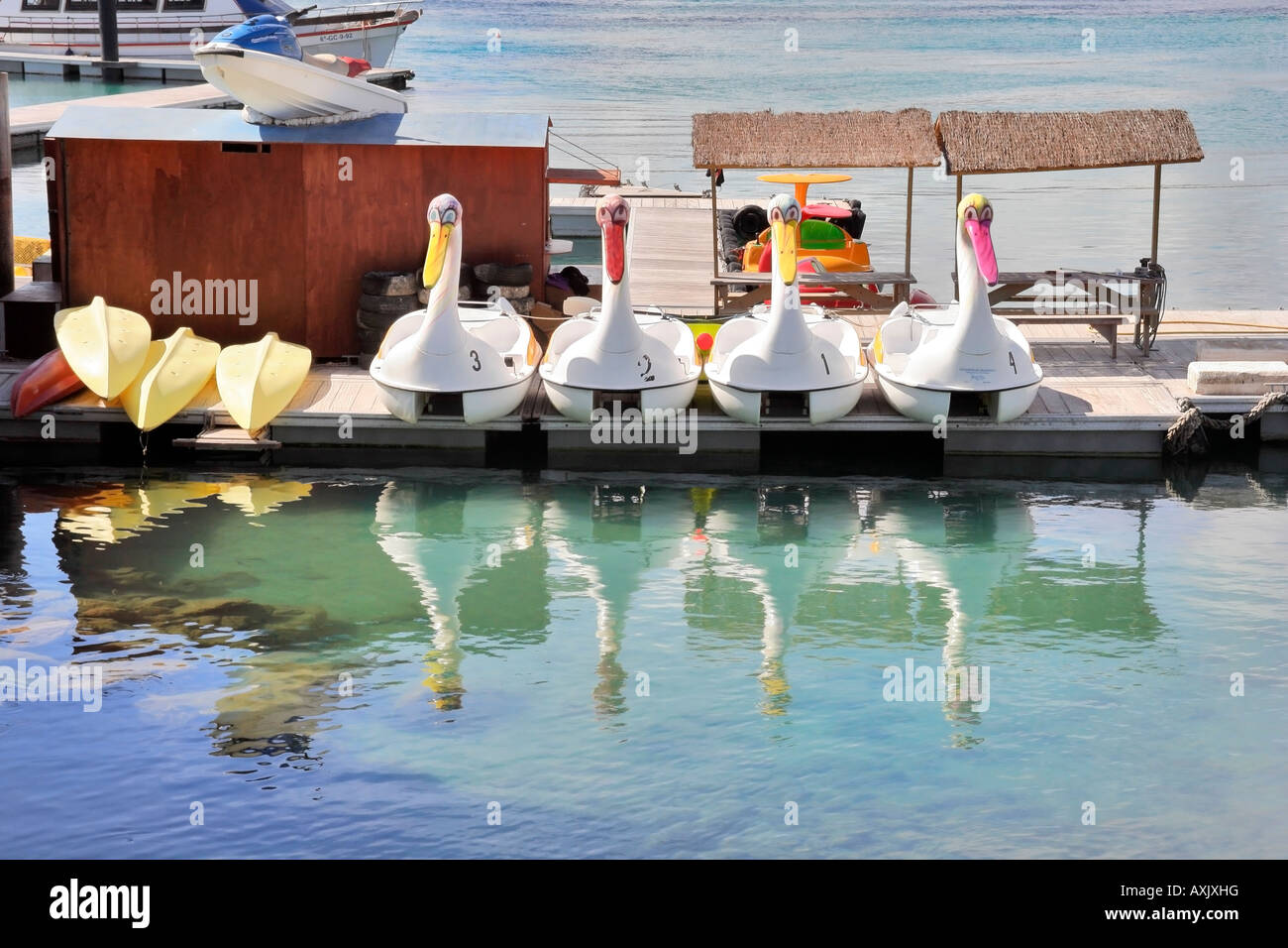 Ruderboote Tretboote in Caleta de Fuste (Castillo), 10 km südlich von Flughafen Fuerteventura. Kanarische Inseln, 100 km westlich von N. Afrika. Stockfoto