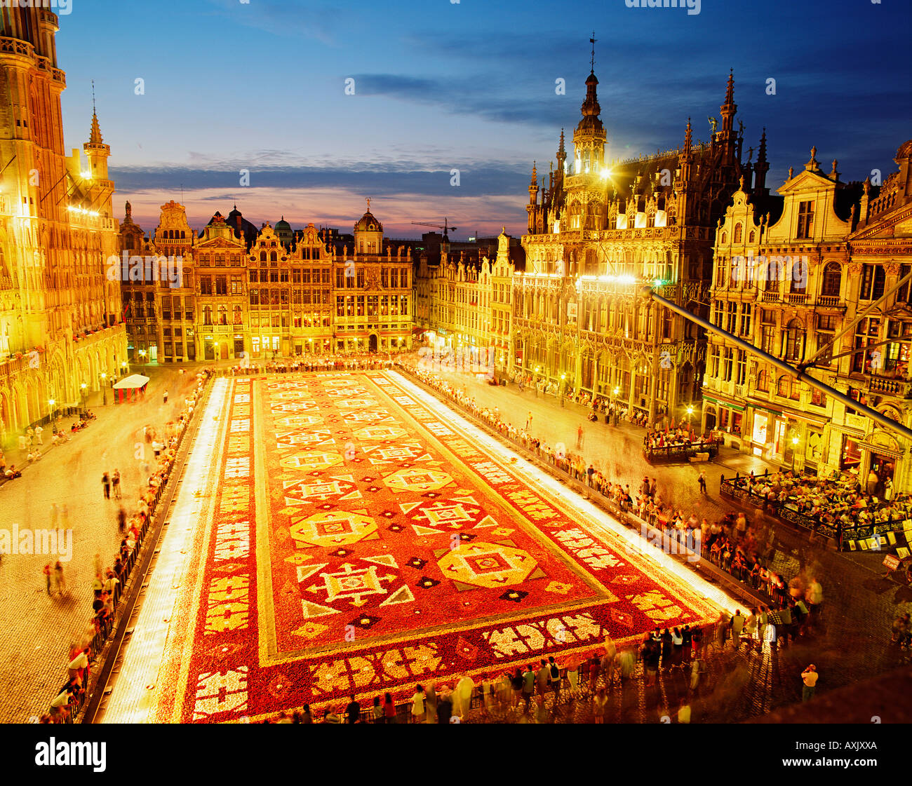 BELGIEN BRÜSSEL GRAND PLACE DER BLUMENTEPPICH Stockfoto