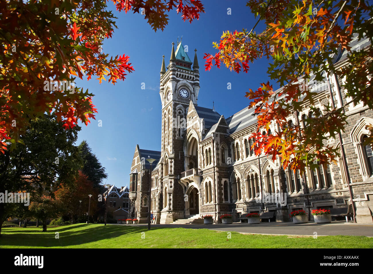 Uhrturm Registry Gebäude University of Otago in Dunedin Herbst Südinsel  Neuseeland Stockfotografie - Alamy