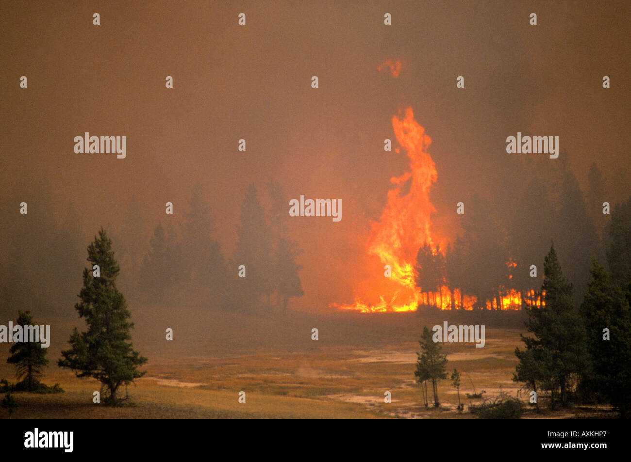 Yellowstone Fire Disaster Stockfotos Und Bilder Kaufen Alamy