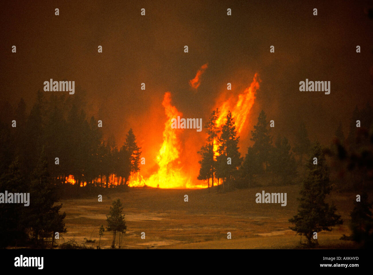 Yellowstone Fire Disaster Stockfotos Und Bilder Kaufen Alamy