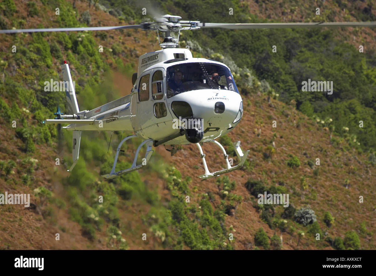 Hubschrauber schwebt über Diamond Lake Paradise in der Nähe von Glenorchy Queenstown Region Südinsel Neuseeland Stockfoto