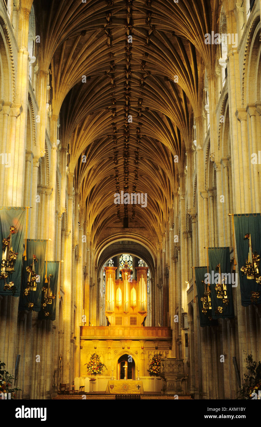 Norwich Kathedrale Nave Organ innen Norfolk East Anglia England UK Reisen Tourismus Geschichte historische englische mittelalterliche piers Stockfoto