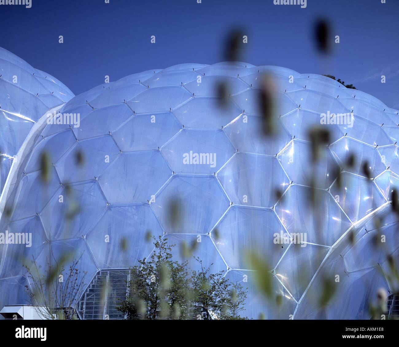 DAS EDEN PROJECT Stockfoto