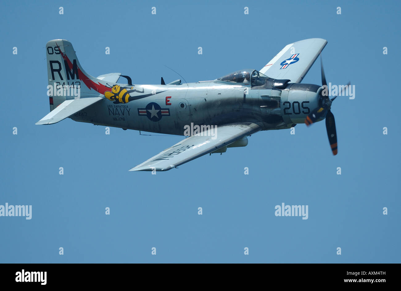 Douglas AD-4N Skyraider im Flug, französische Oldtimer Flugshow, La Ferte Alais, Frankreich Stockfoto